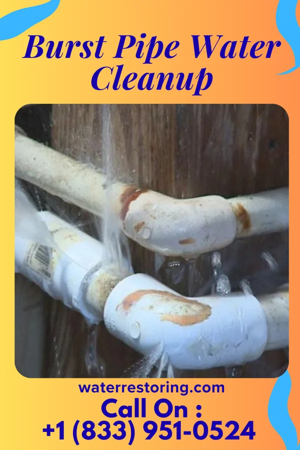 Burst Pipe Water Cleanup in Buckingham Courthouse, VA