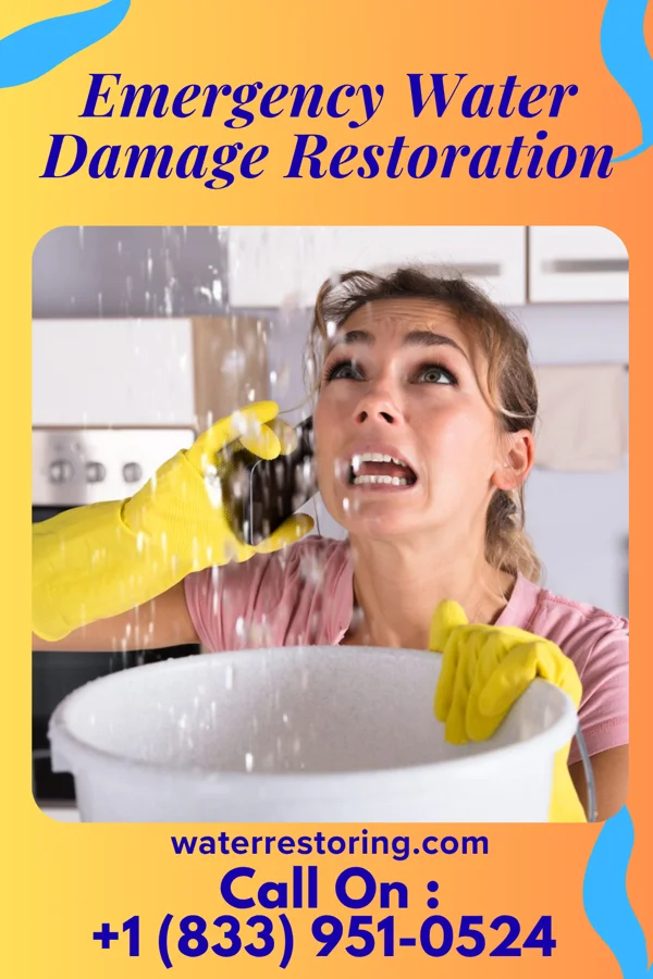 Emergency Water Damage Restoration in Buckingham Courthouse, VA