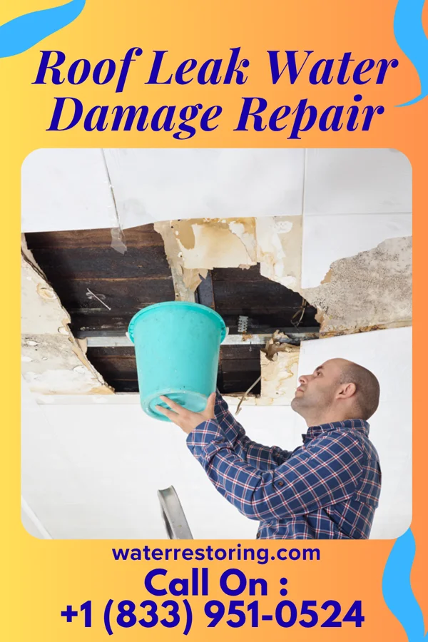 Roof Leak Water Damage Repair in Buckingham Courthouse, VA