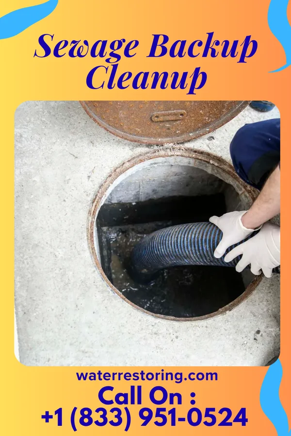 Sewage Backup Cleanup in Buckingham Courthouse, VA