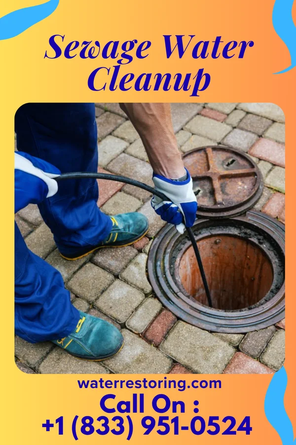 Sewage Water Cleanup in Buckingham Courthouse, VA
